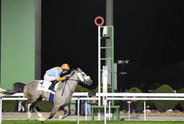 الأسبوع الثاني من "قفز السعودية" ينطلق غدًا
