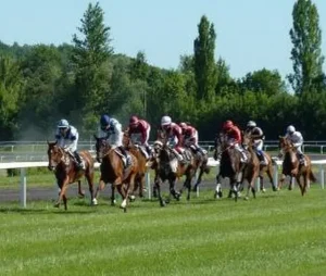 سباقات الخيل
