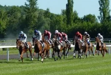 سباقات الخيل