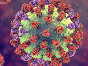 ثلاثة خيول مصابة بإنفلونزا الخيول