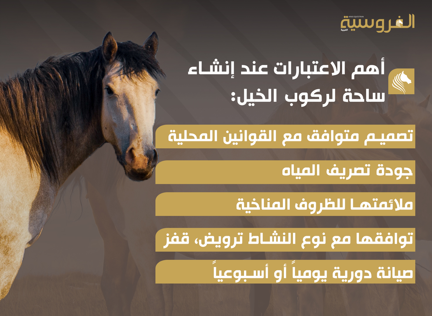 تصميم مضامير سباق أكثر أماناً للخيول والفرسان - مجلة الفروسية