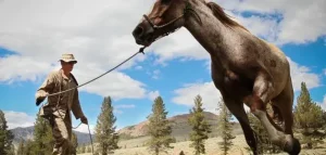 الخيول تمتلك قدرة فريدة على الحركة في التضاريس التي تعجز عنها المركبات الثقيلة