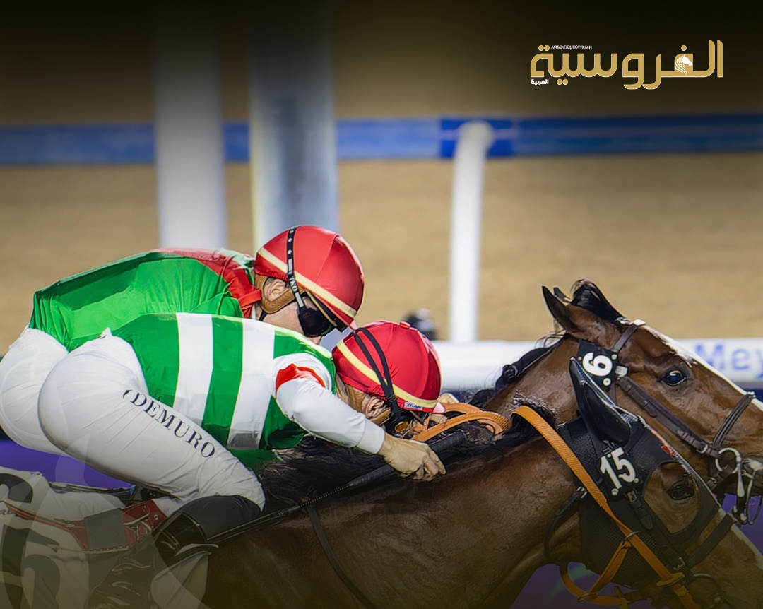 ماراثون العين يفتتح التحدي اليوم - مجلة الفروسية