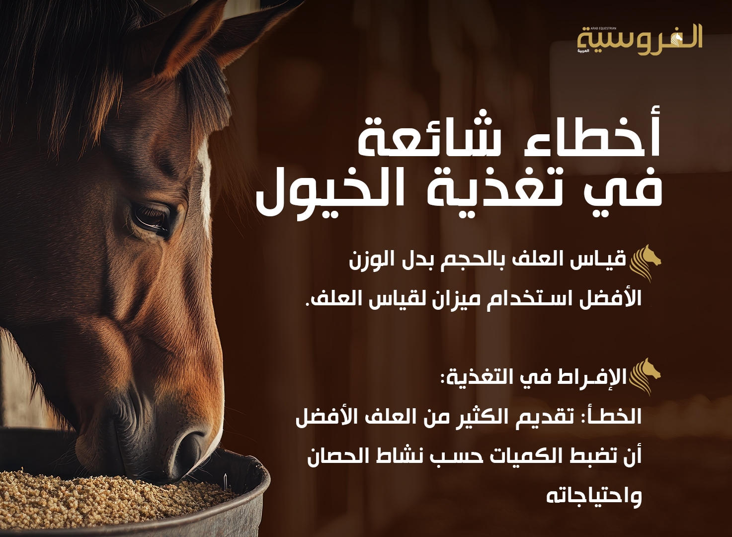 أهمية الأعلاف الطبيعية في تعزيز صحة الخيول - مجلة الفروسية