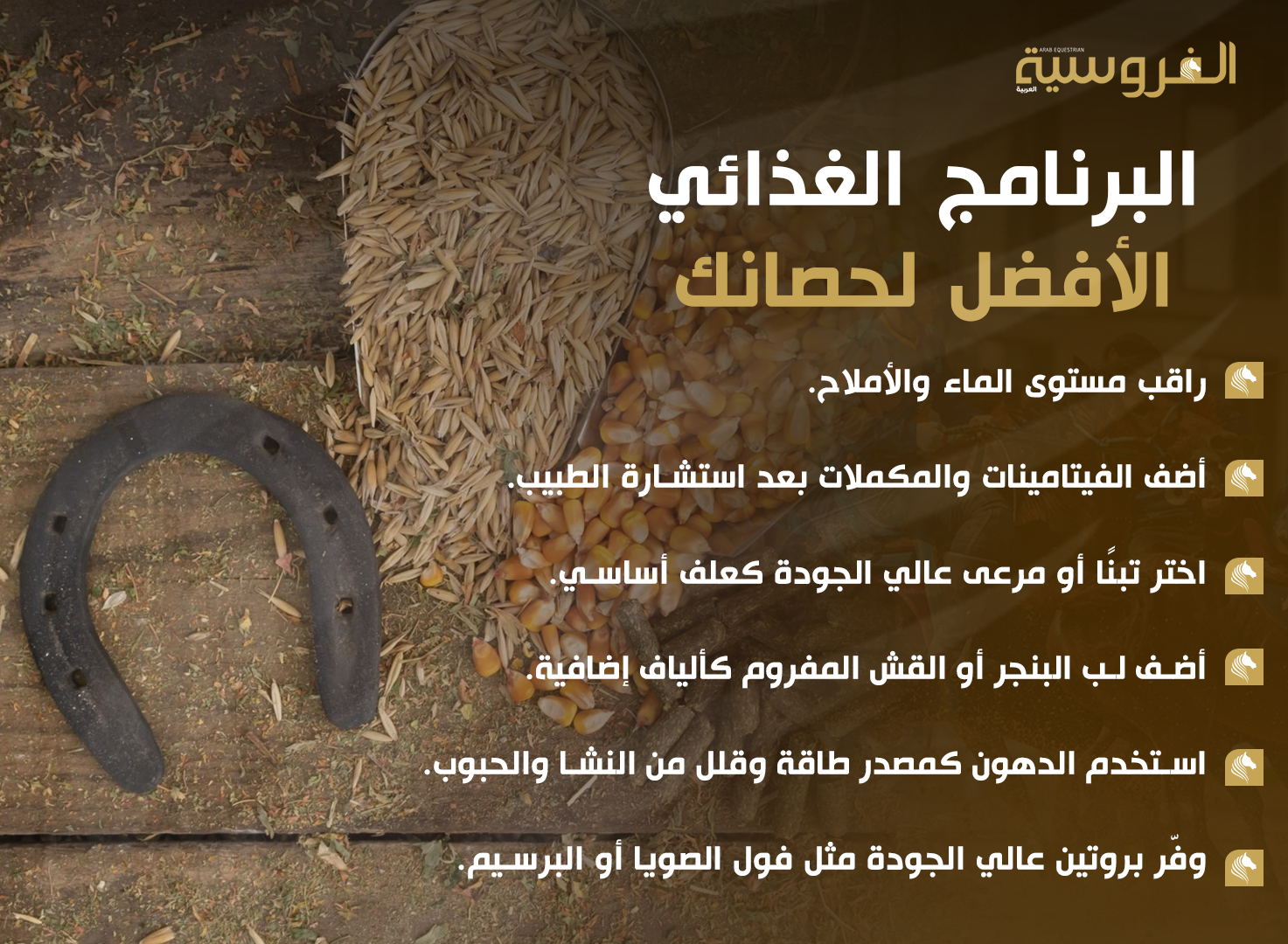 قواعد التغذية في موسم الشتاء وتأثير البرد على احتياجات الحصان الحرارية - مجلة الفروسية
