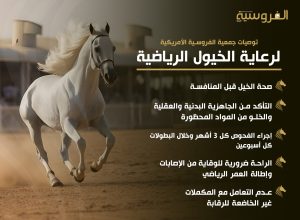 توصيات جمعية الفروسية الأمريكية لرعاية الخيول الرياضية