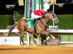 الجواد " تحزيم " الفائز بجائزة عبدالله ابراهيم ابا الخيل التقديرية