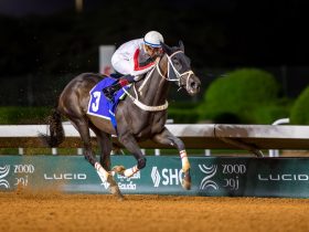 فالة خير " من أبرز المشاركين في كأس إمارة منطقة الرياض