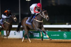 يتضمن برنامج السباق عشرة أشواط متنوعة، تجمع ما بين الخيل المهجنة الأصيلة والخيل العربية الأصيلة.