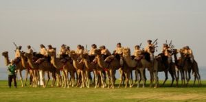 سباقات الهجن