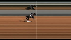 سباقات الخيل