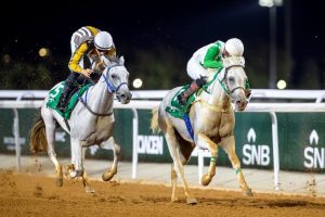 الحفل التاسع في ميدان فروسية القريات