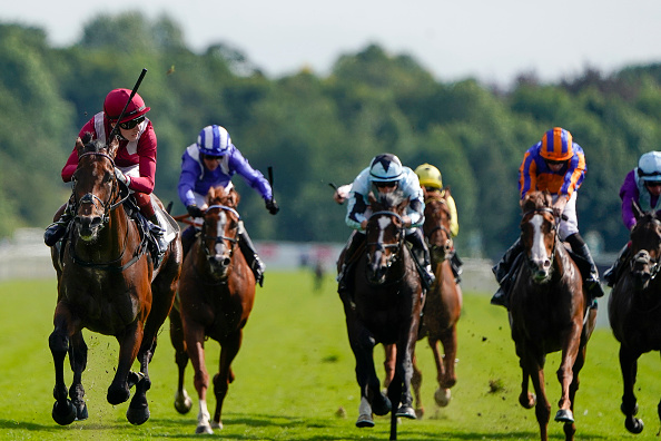 متى بدأت سباقات الخيل في السعودية؟