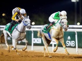 سباق حائل السادس للفروسية يرفع وتيرة المنافسة نحو البطولات