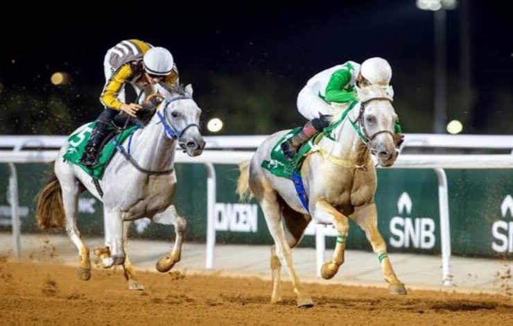 سباق حائل السادس للفروسية يرفع وتيرة المنافسة نحو البطولات