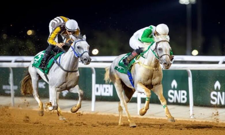 سباق حائل السادس للفروسية يرفع وتيرة المنافسة نحو البطولات