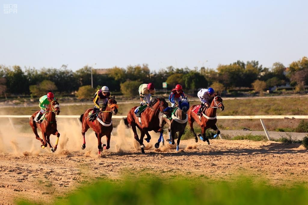خمس كؤوس تُتوج الحفل التاسع بميدان فروسية الجبيل لموسم 1447هـ