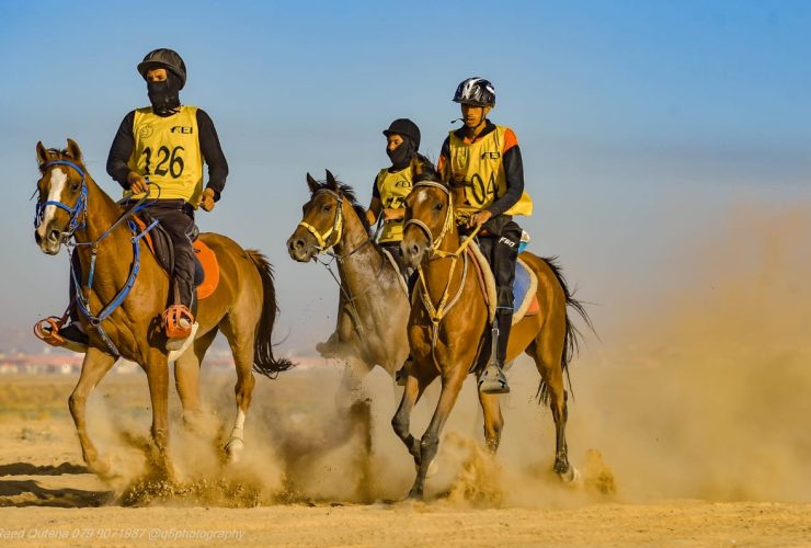 أصل ومسار مسابقات التحمل والقدرة في السعودية