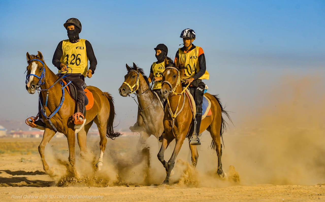 أصل ومسار مسابقات التحمل والقدرة في السعودية