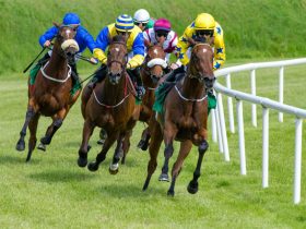مهرجان سوق واقف للفروسية 2026 ينطلق - مجلة الفروسية