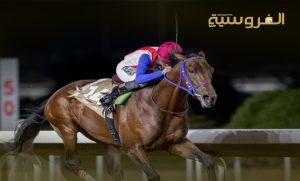الفروسية وسباقات الخيل