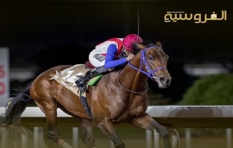 مهرجان سمو الشيخ محمد للقدرة ينطلق بمنافسات واسعة ٢٠٢٦