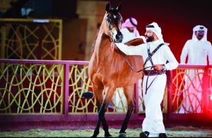 يتضمن مهرجان سوق واقف برنامجاً من عدد من العروض والمسابقات الخاصة بالخيل العربية الأصيلة.