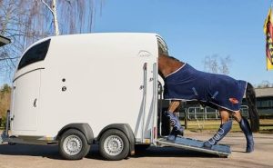 شهد تصميم مقطورات الخيول تحولاً ملحوظاً خلال السنوات الأخيرة