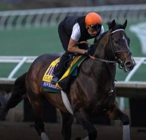 سوفيرنتي"السيادة" الفائز بلقب أفضل جواد لعام 2025