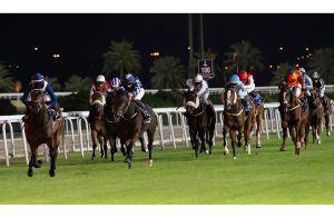 تؤدي السباقات التجريبية دوراً محورياً في قياس جاهزية الخيل