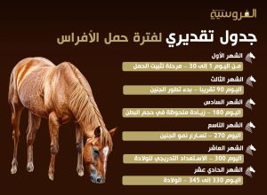 جدول تقديري لفترة حمل الأفراس