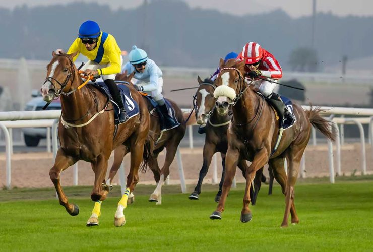 سباق الخيل في جنوب افريقيا :بروز اسماء جديدة وتوقعات قوية لسباقات اليوم