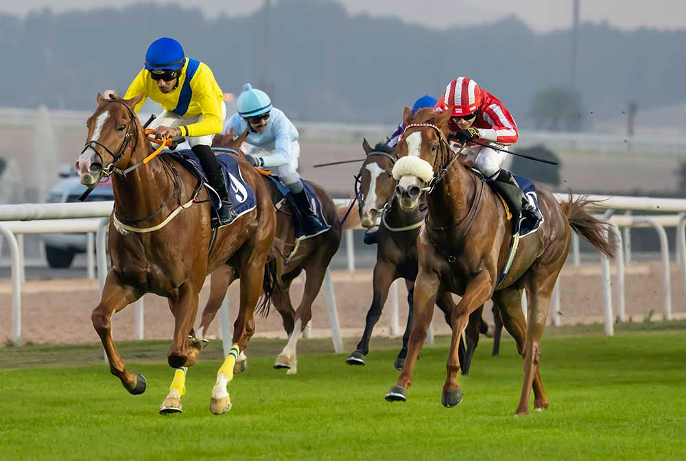 سباق الخيل في جنوب افريقيا :بروز اسماء جديدة وتوقعات قوية لسباقات اليوم