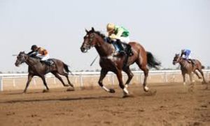 كأس الفرسان للقدرة والتحمل واحدة من أبرز بطولات القدرة في المنطقة