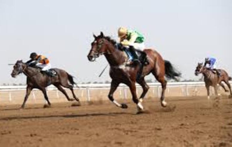 سيباركو تعزز حضورها في بطولات الفروسية بمملكة البحرين 2026