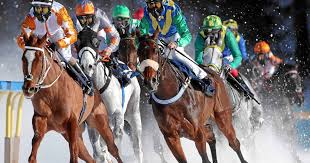 مهرجان White Turf St. Moritz 2026: سباقات وإثارة على البحيرة البيضاء