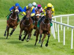 تحديثات برنامج سباقات قطر 2025–2026