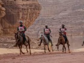 بطولة الفرسان بالعُلا تسبق مونديال القدرة
