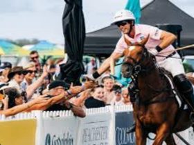 Magic Millions 2026: فرصة ثانية للخيول المتقاعدة تتألق على الساحل الذهبي