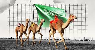 الهجن والإبل في السعودية: إرث أصيل بين الماضي والحاضر