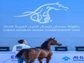 بطولة عجمان لجمال الخيل العربي 2026 تبرز جمال وسلالة الجياد الأصيلة