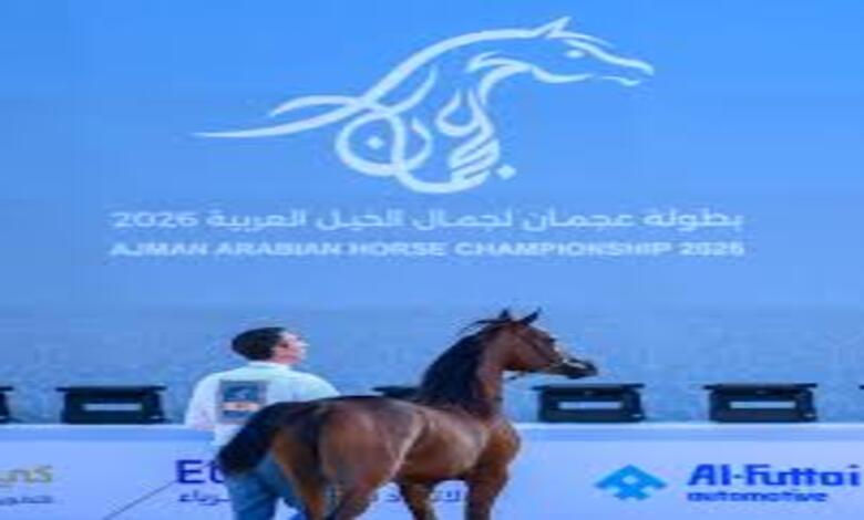 بطولة عجمان لجمال الخيل العربي 2026 تبرز جمال وسلالة الجياد الأصيلة
