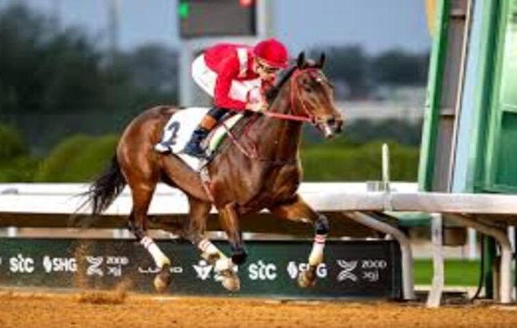 ختام ناجح لمهرجان نادي مبارك الكبير للفروسية وسط حضور رسمي وجماهيري كبير