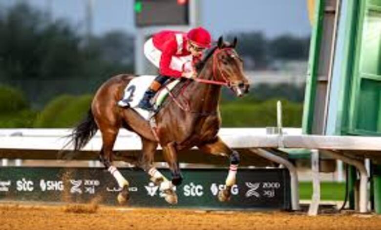 ختام ناجح لمهرجان نادي مبارك الكبير للفروسية وسط حضور رسمي وجماهيري كبير