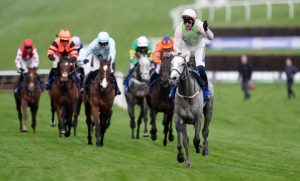 جواد واعد يتصدر الترشيحات لبطولات Cheltenham