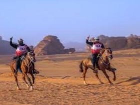 الشهراني والقريشي يتوجان بكأسي وزارة الرياضة والشباب والناشئين للقدرة والتحمل في العلا