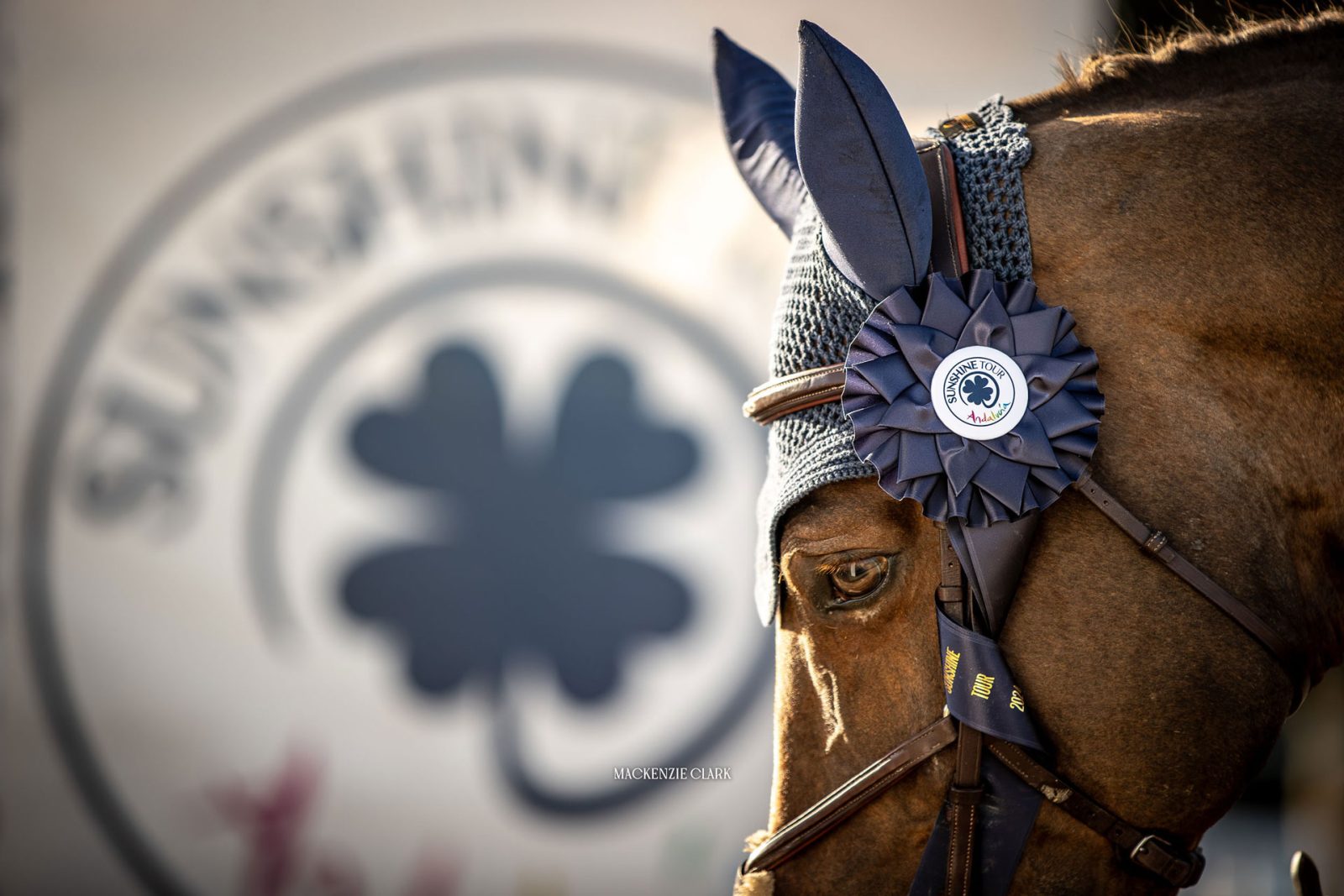 انطلاق جولة الفروسية في إسبانيا أندلوسيا صن شاين 2026