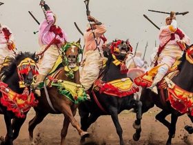 تكريم الفرسان في فعاليات الفروسية المغربية