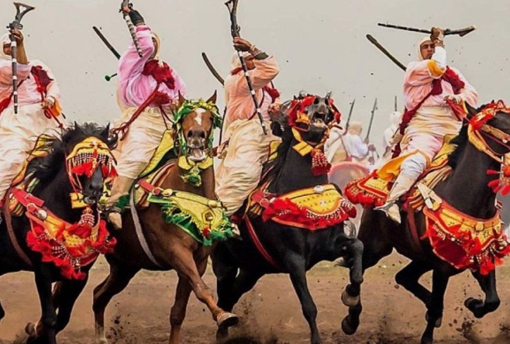 تكريم الفرسان في فعاليات الفروسية المغربية