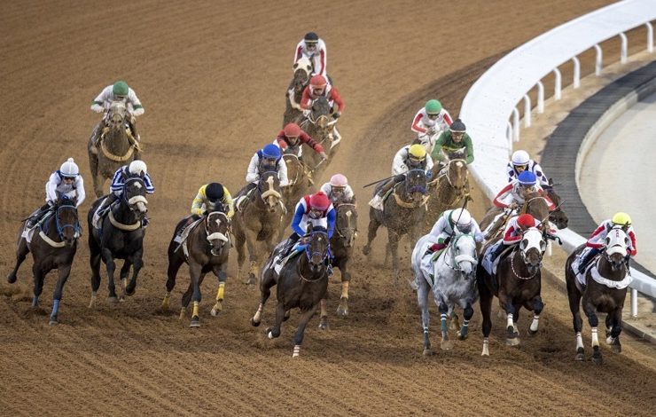 الاتحاد الملكي البحريني يستكمل الفحص البيطري استعدادًا لانطلاق مهرجان كأس الملك المعظم للقدرة